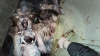 Metro Redux