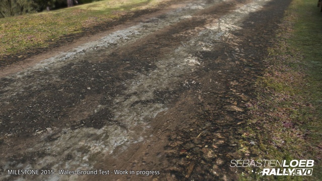 Sébastien Loeb Rally Evo