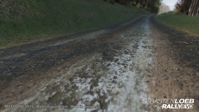 Sébastien Loeb Rally Evo