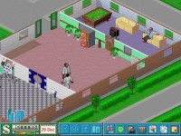 Theme Hospital
