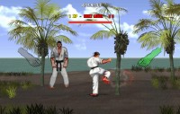 Karate Master 2 Knock Down Blow