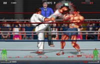 Karate Master 2 Knock Down Blow