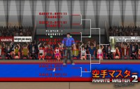 Karate Master 2 Knock Down Blow