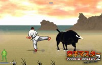 Karate Master 2 Knock Down Blow