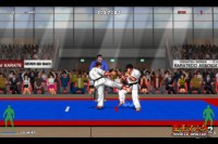 Karate Master 2 Knock Down Blow