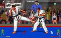 Karate Master 2 Knock Down Blow