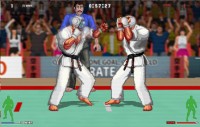 Karate Master 2 Knock Down Blow