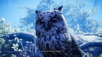 Far Cry Primal