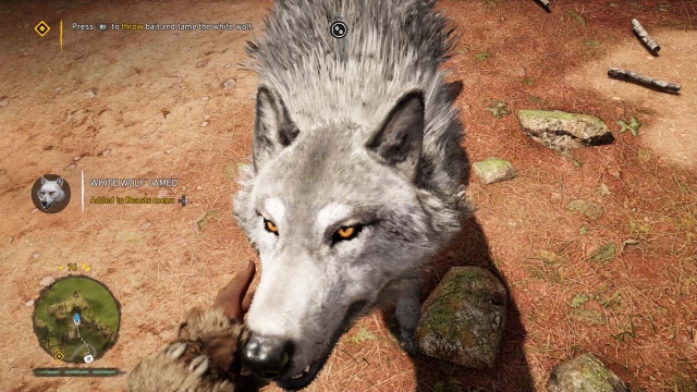 Far Cry Primal