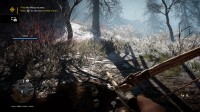 Far Cry Primal