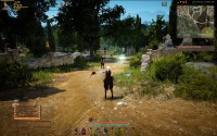 Black Desert Online