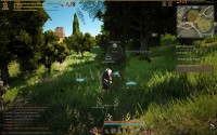 Black Desert Online