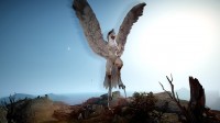 Black Desert Online