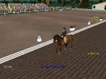 Sydney Equestriad 2000