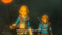 The Legend of Zelda: Breath of the Wild