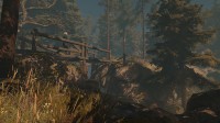 Through the Woods