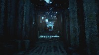 Conarium
