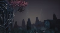 Conarium