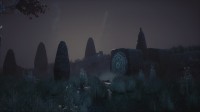 Conarium