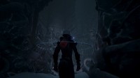 Echo