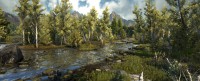 Dark and Light (2016)