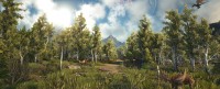 Dark and Light (2016)