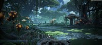 Dark and Light (2016)