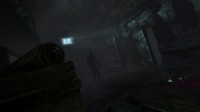 Amnesia Collection