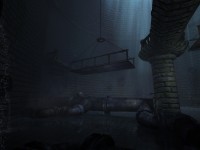 Amnesia Collection