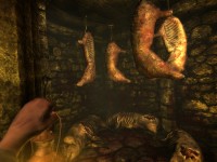 Amnesia Collection