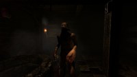 Amnesia Collection