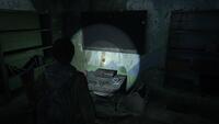 The Last of Us: Part II