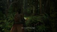 The Last of Us: Part II