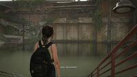 The Last of Us: Part II