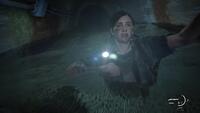 The Last of Us: Part II