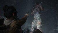 The Last of Us: Part II