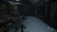 The Last of Us: Part II