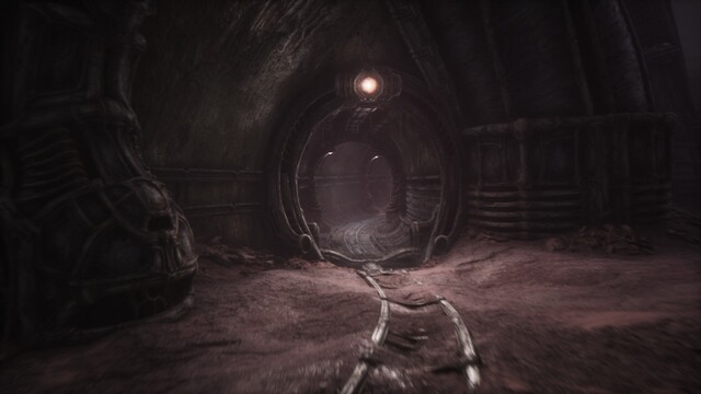 Scorn