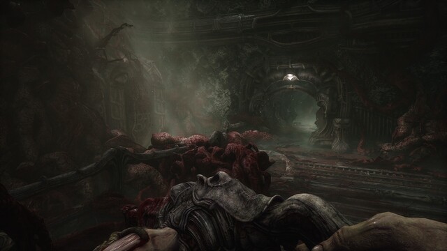 Scorn