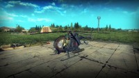 Heliborne