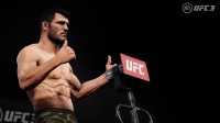 UFC 3