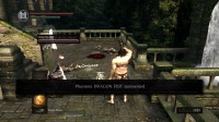 Dark Souls Remastered - PC - Dark Souls Remastered