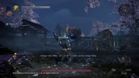 Nioh 2