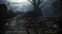 Nioh 2