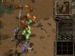 Kingdom Under Fire