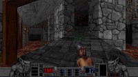 Blood Remastered
