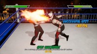 CHIKARA: Action Arcade Wrestling