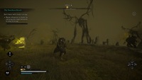 Assassin's Creed Valhalla