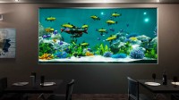 Aquarium Designer