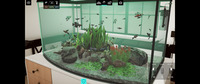 Aquarium Designer